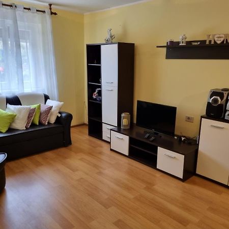 Apartment Sanja Pazin Exterior foto